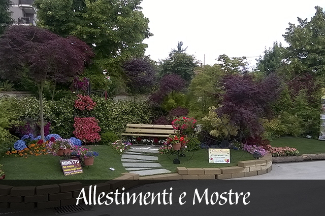 Allestimenti e Mostre