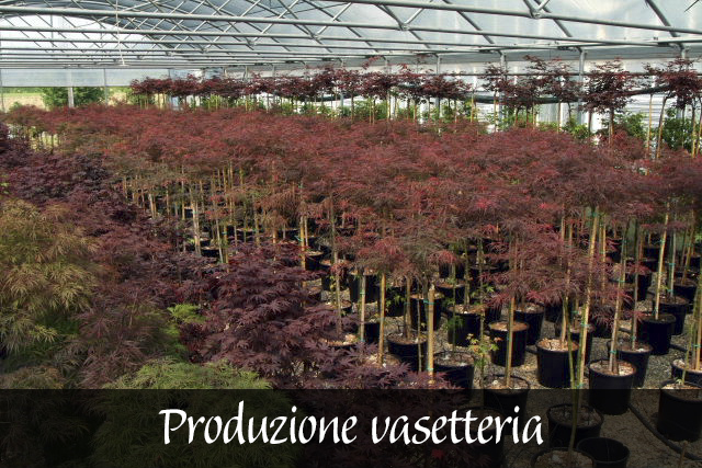 Produzione Vasetteria